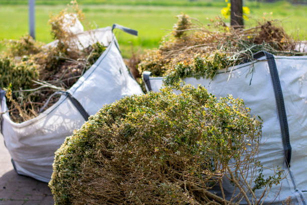 Best Junk Removal for Businesses  in Roseburg Nth, OR